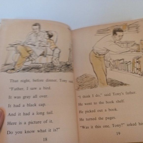 "Tony's Birds" book from 1961 - Picture 6 of 12